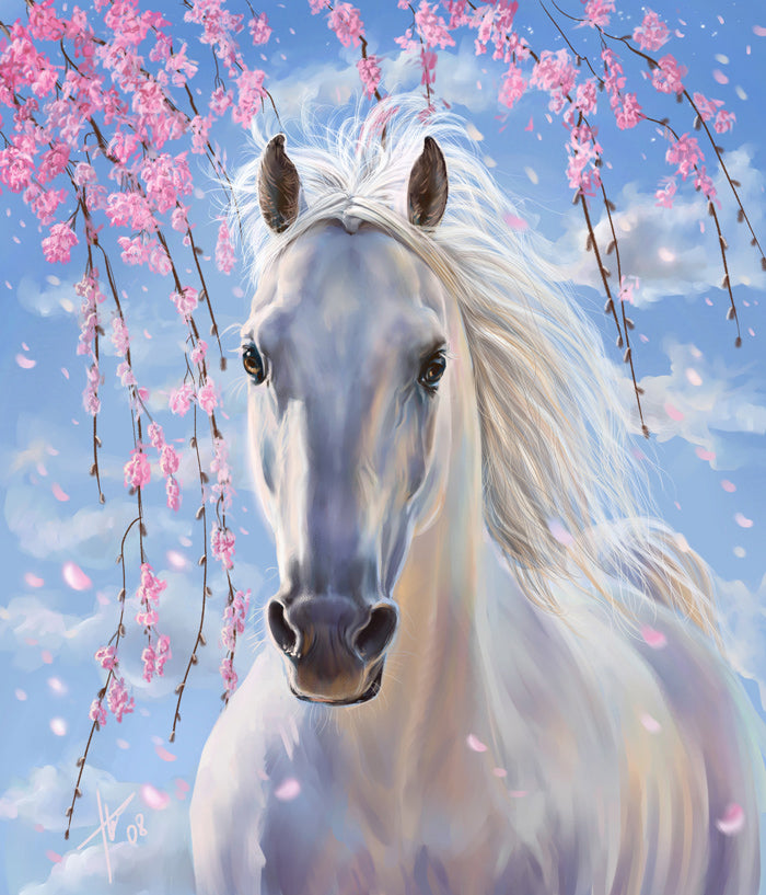 Cool Native American Horse – Diamond Paintings