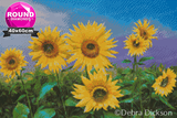 Sunflower Garden by Debra Dickson | Diamond Painting