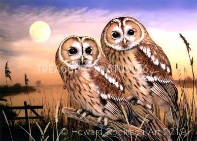 Tawny Owls : by Howard Robinson | Diamond Painting - Treasure Studios Art