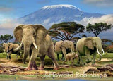 Kilimanjaro morning by Howard Robinson | Diamond Painting