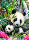 Precious Panda's by Howard Robinson | Diamond Painting
