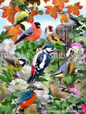 Birds of all Seasons by Howard Robinson | Diamond Painting - Treasure Studios Art