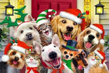 Dog & Cat Christmas Selfie : by Howard Robinson | Diamond Painting - Treasure Studios Art