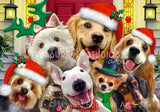 Dog Christmas Selfie : by Howard Robinson | Diamond Painting - Treasure Studios Art