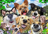 Selfie Dogs Delight by Howard Robinson | Diamond Painting - Treasure Studios Art
