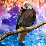 Bald Eagle Spectacular | Diamond Painting - Treasure Studios Art