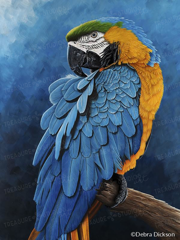 Blue & Gold Macaw by Debra Dickson | Diamond Painting