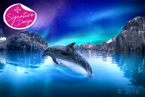 Aurora Borealis Dolphin Lights | SIGNATURE |  Diamond Painting - Treasure Studios Art