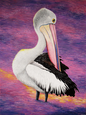 Pelican Portrait by Debra Dickson | Diamond Painting