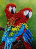 Scarlet Macaws by Debra Dickson | Diamond Painting