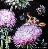 Thistle Weavers by Rachel Favelle | Diamond Painting