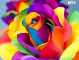 Rose of Color | Diamond Painting - Treasure Studios Art